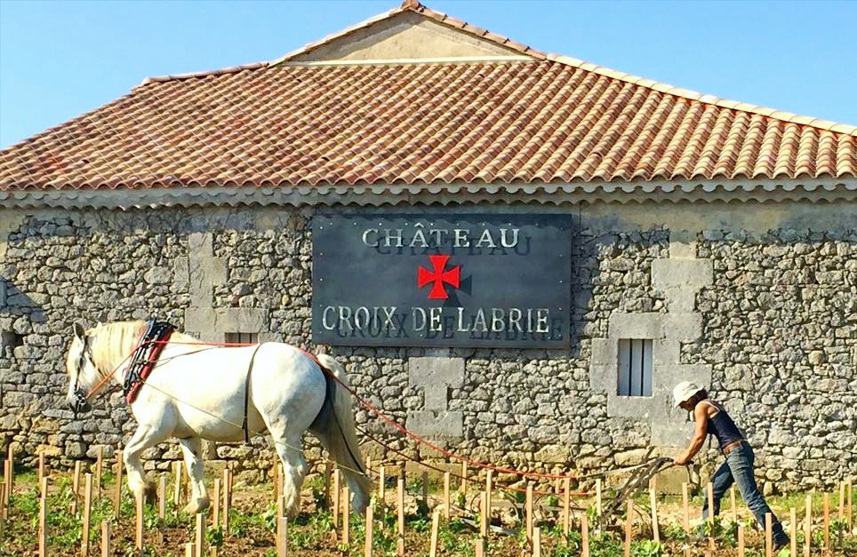 CHATEAU CROIX DE LABRIE 7deci